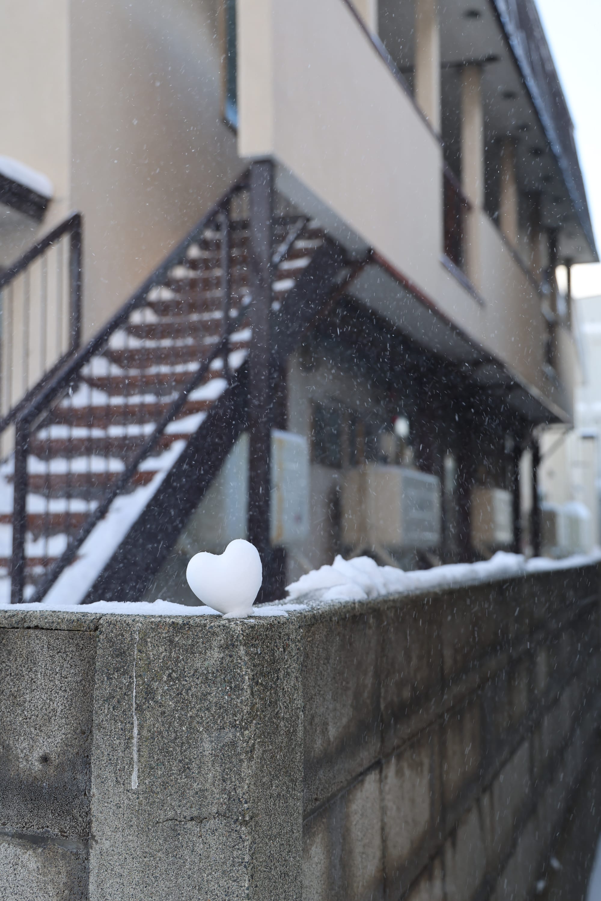 圣诞季的北海道之旅