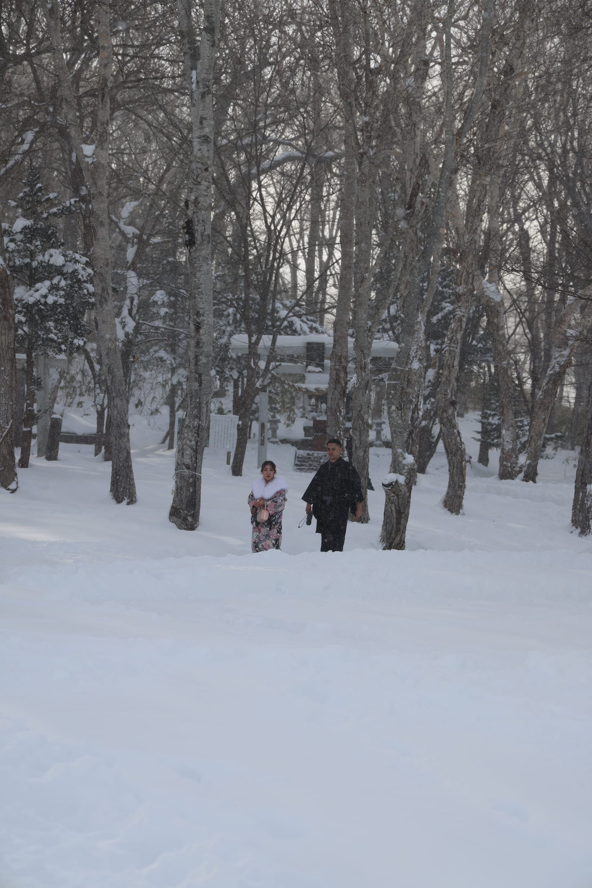 圣诞季的北海道之旅