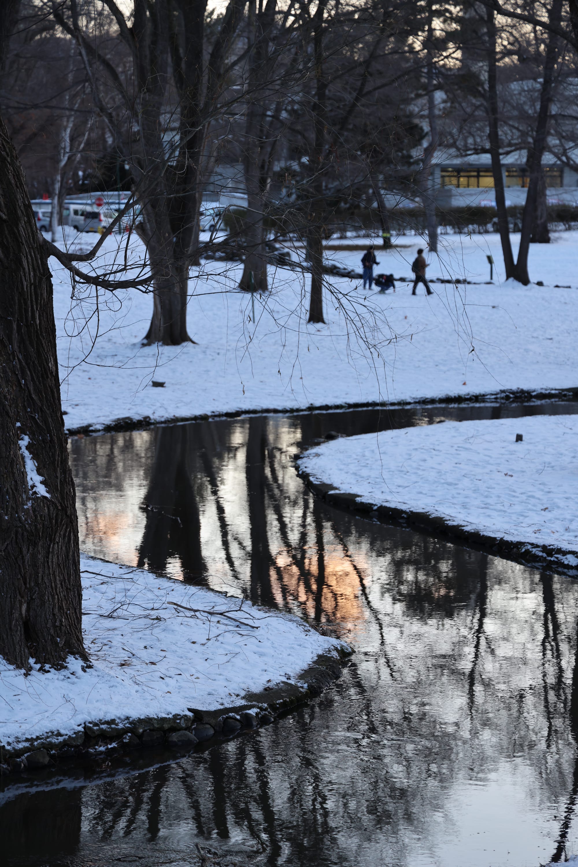 圣诞季的北海道之旅