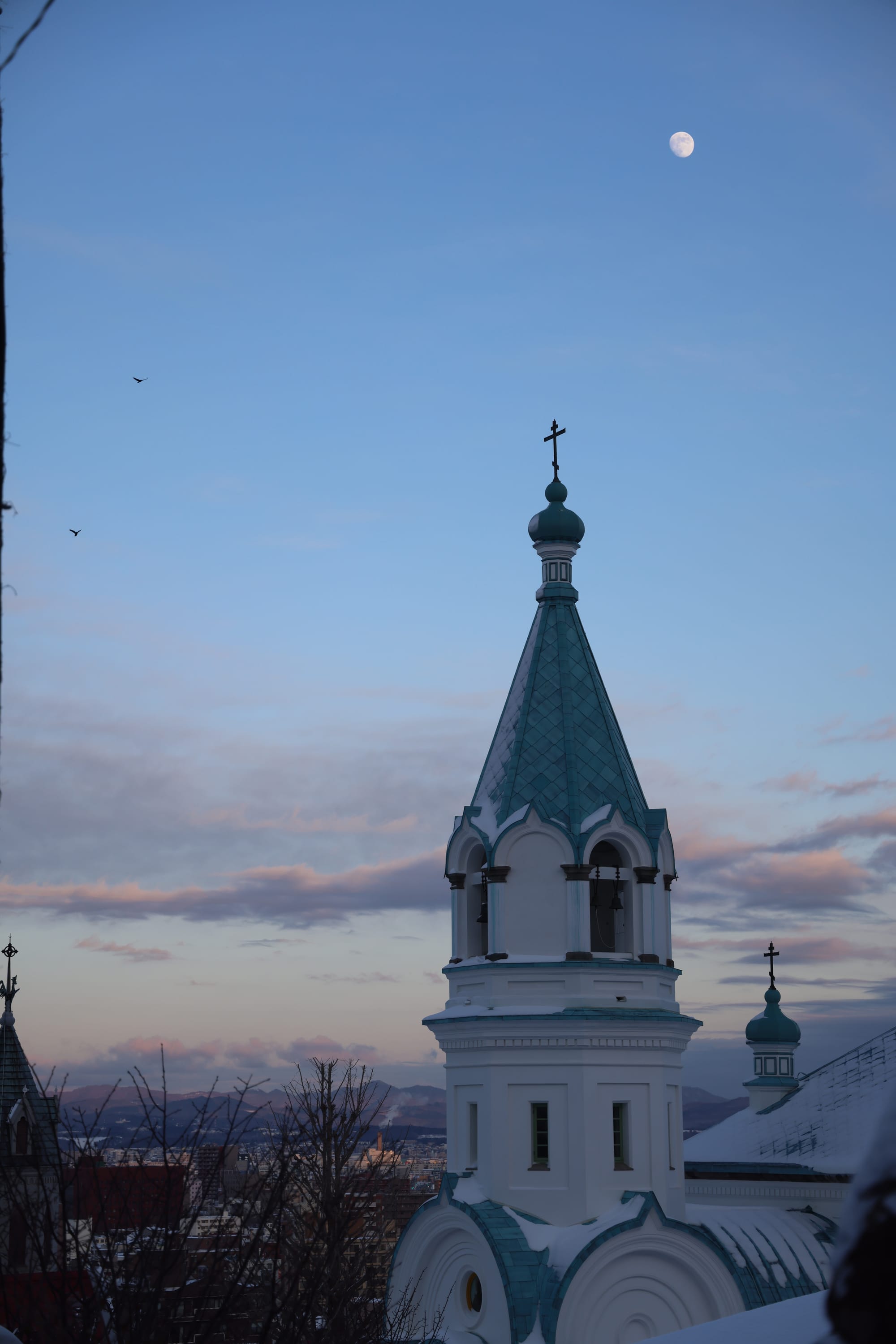 圣诞季的北海道之旅
