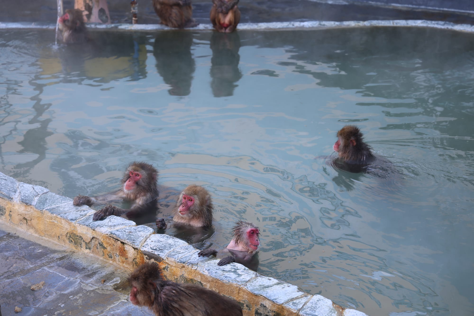 圣诞季的北海道之旅