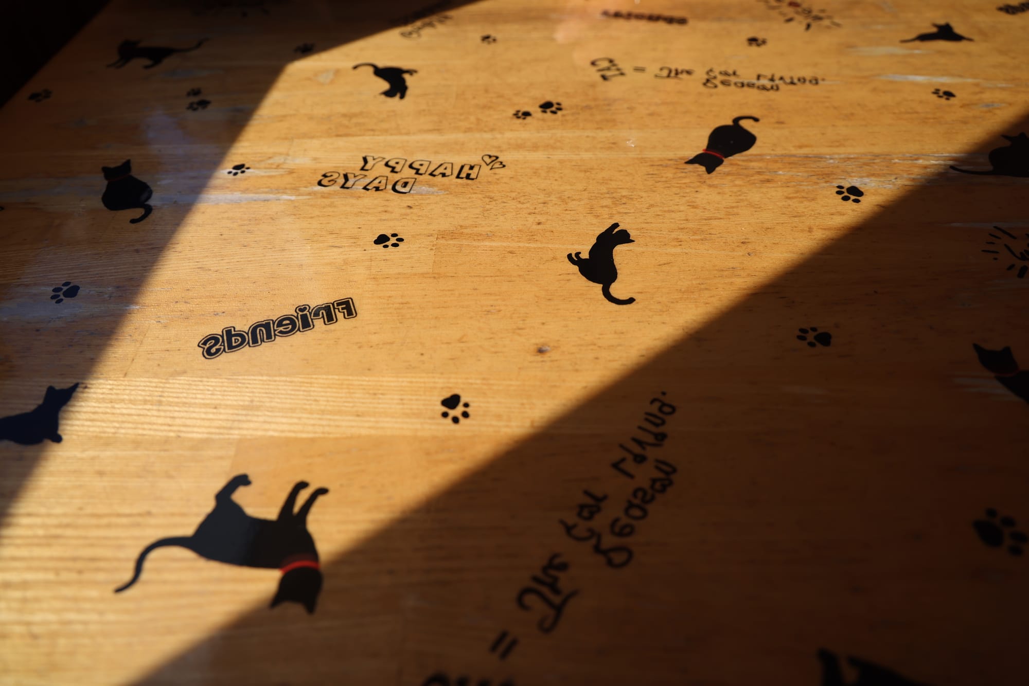 圣诞季的北海道之旅