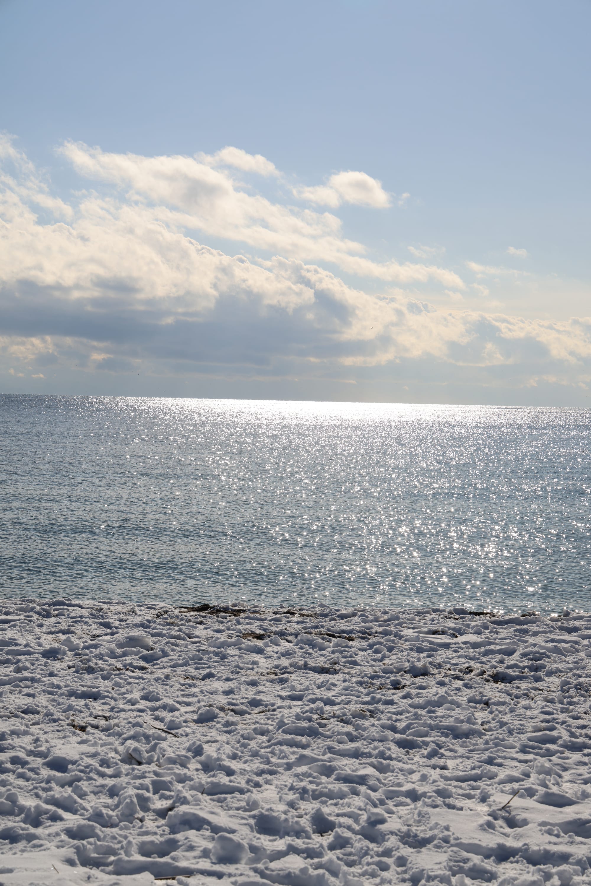 圣诞季的北海道之旅