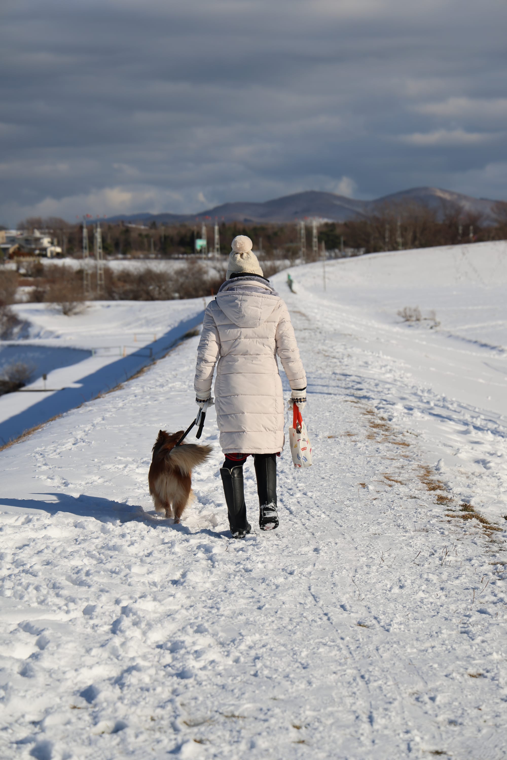 圣诞季的北海道之旅
