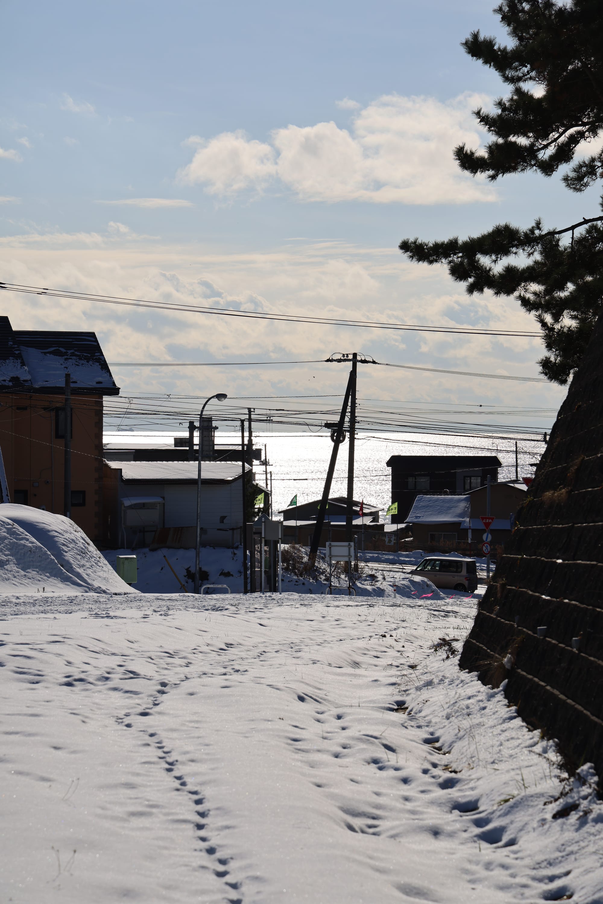 圣诞季的北海道之旅