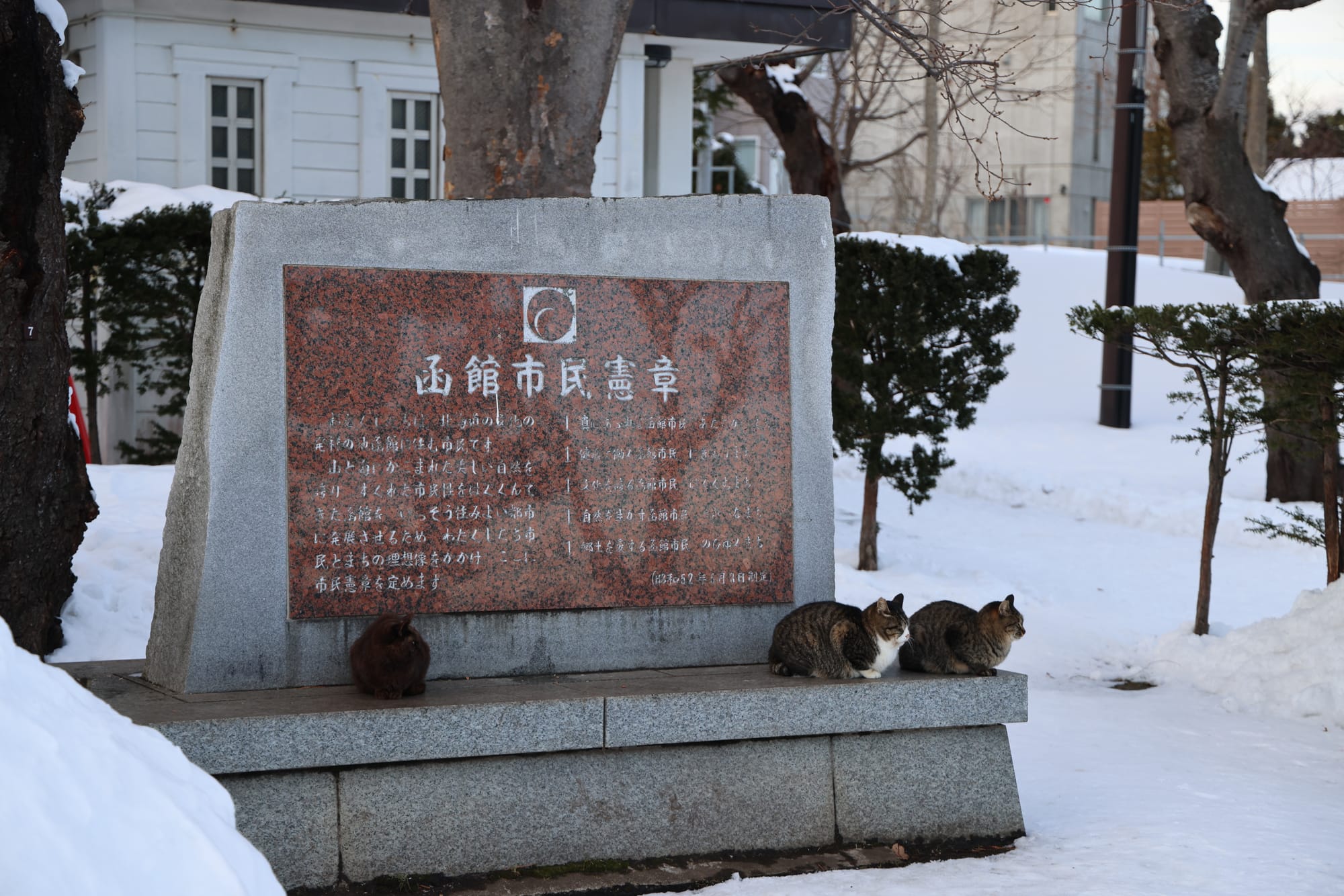 圣诞季的北海道之旅