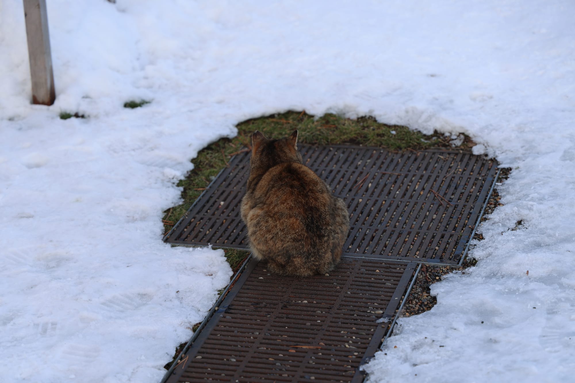 圣诞季的北海道之旅