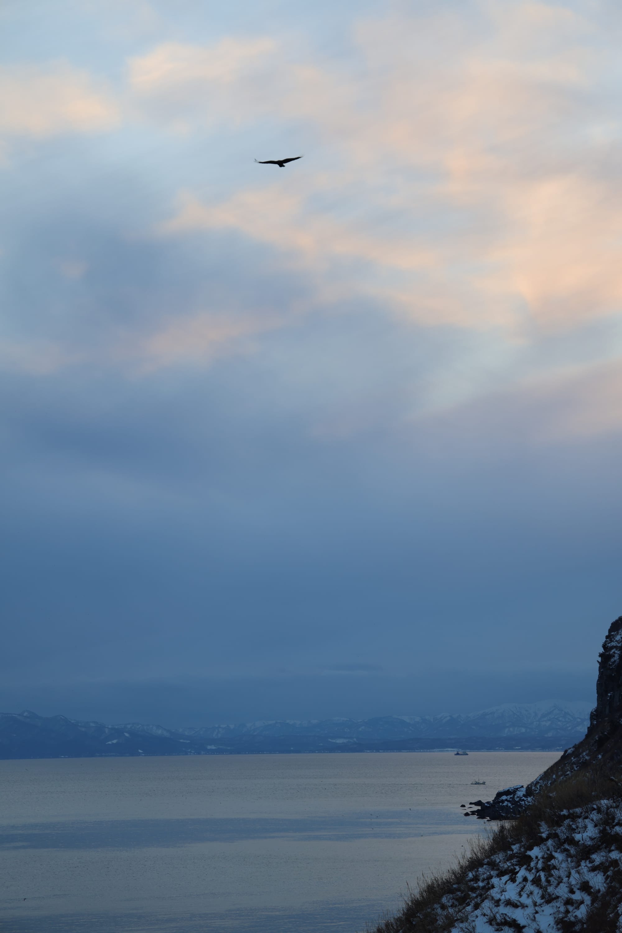 圣诞季的北海道之旅