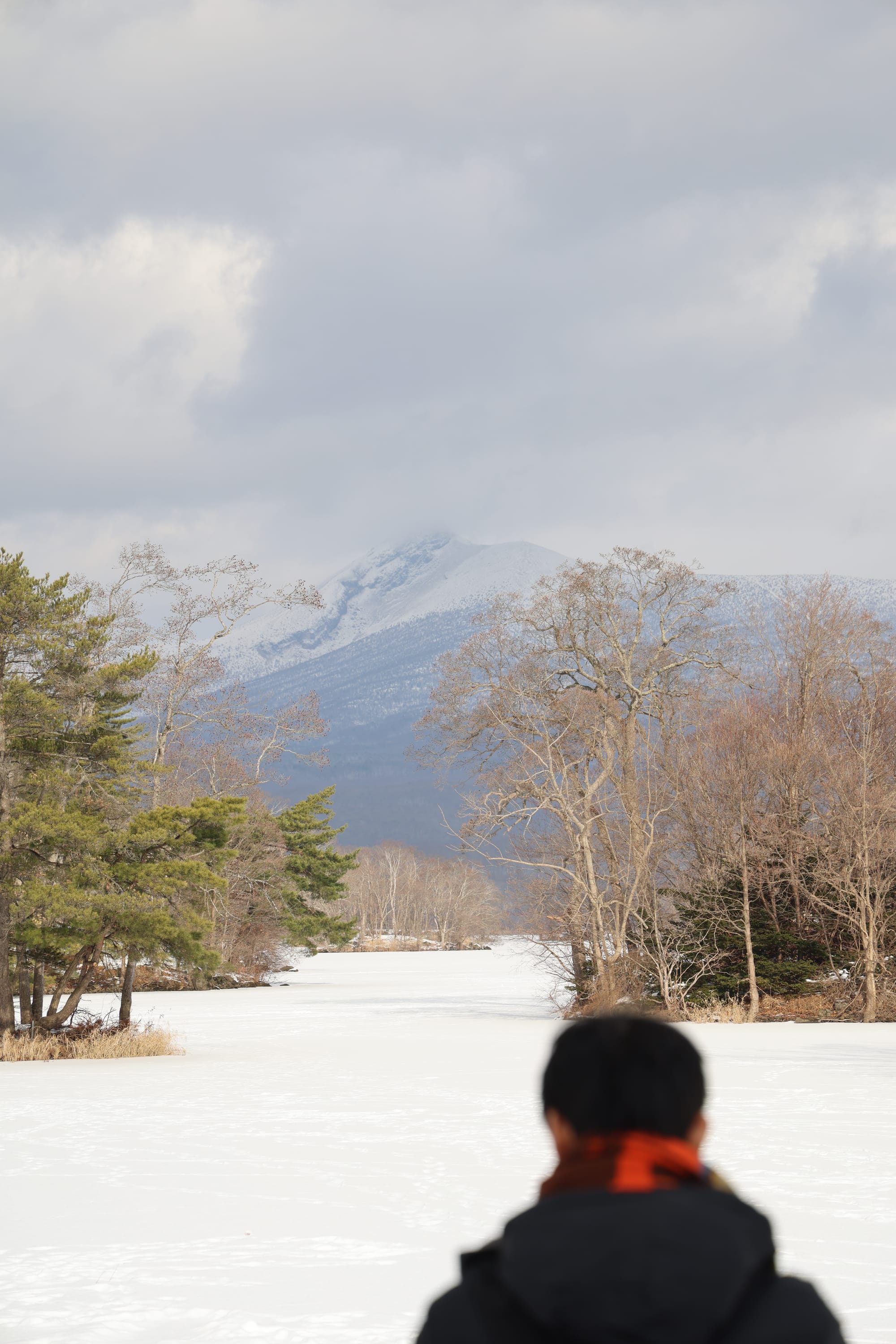 圣诞季的北海道之旅