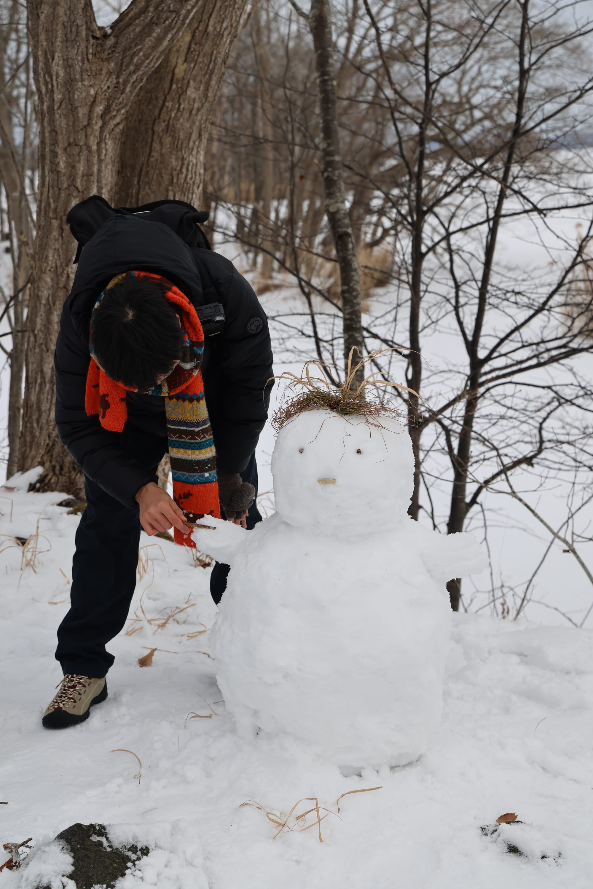 圣诞季的北海道之旅