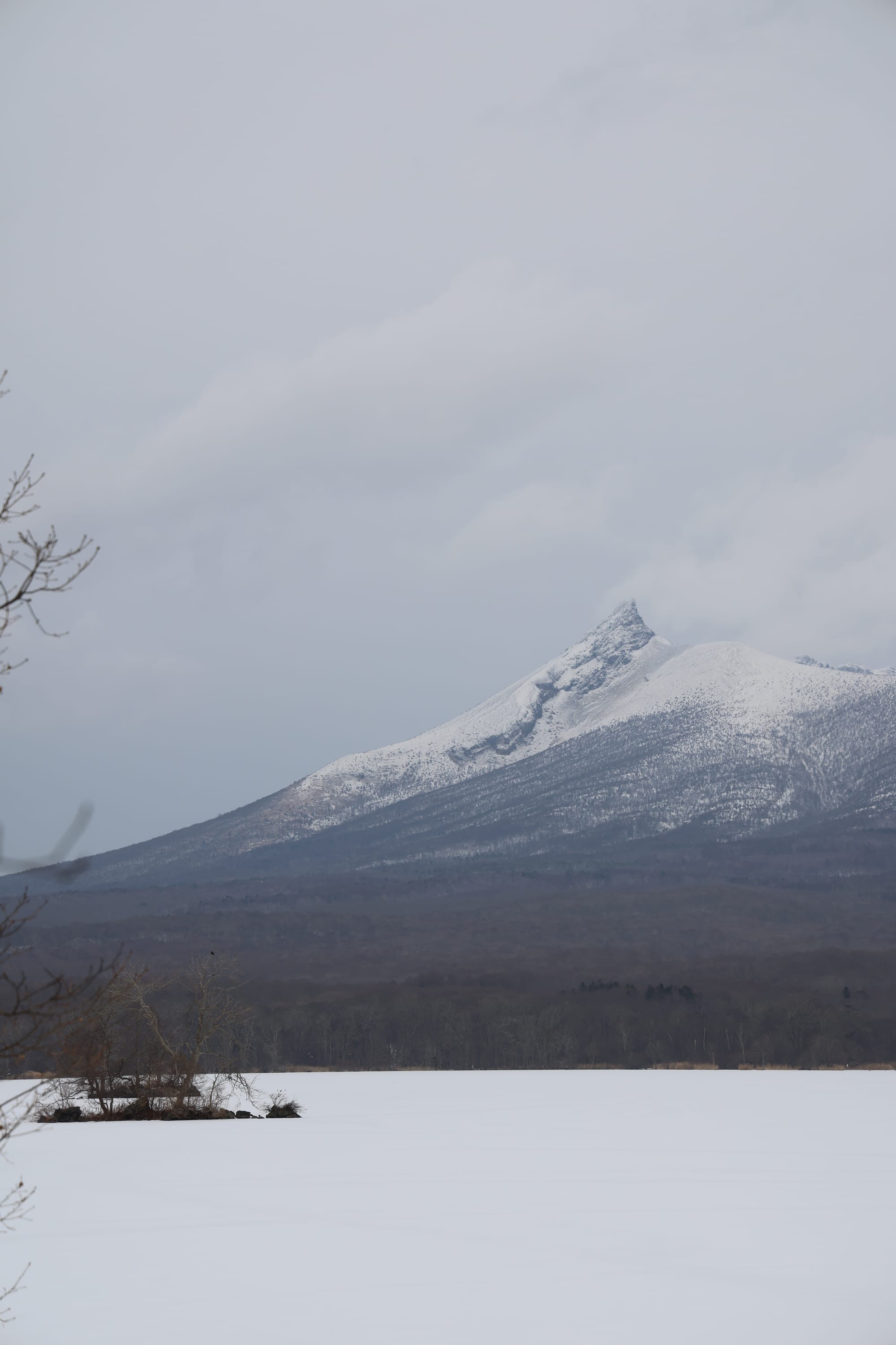 圣诞季的北海道之旅