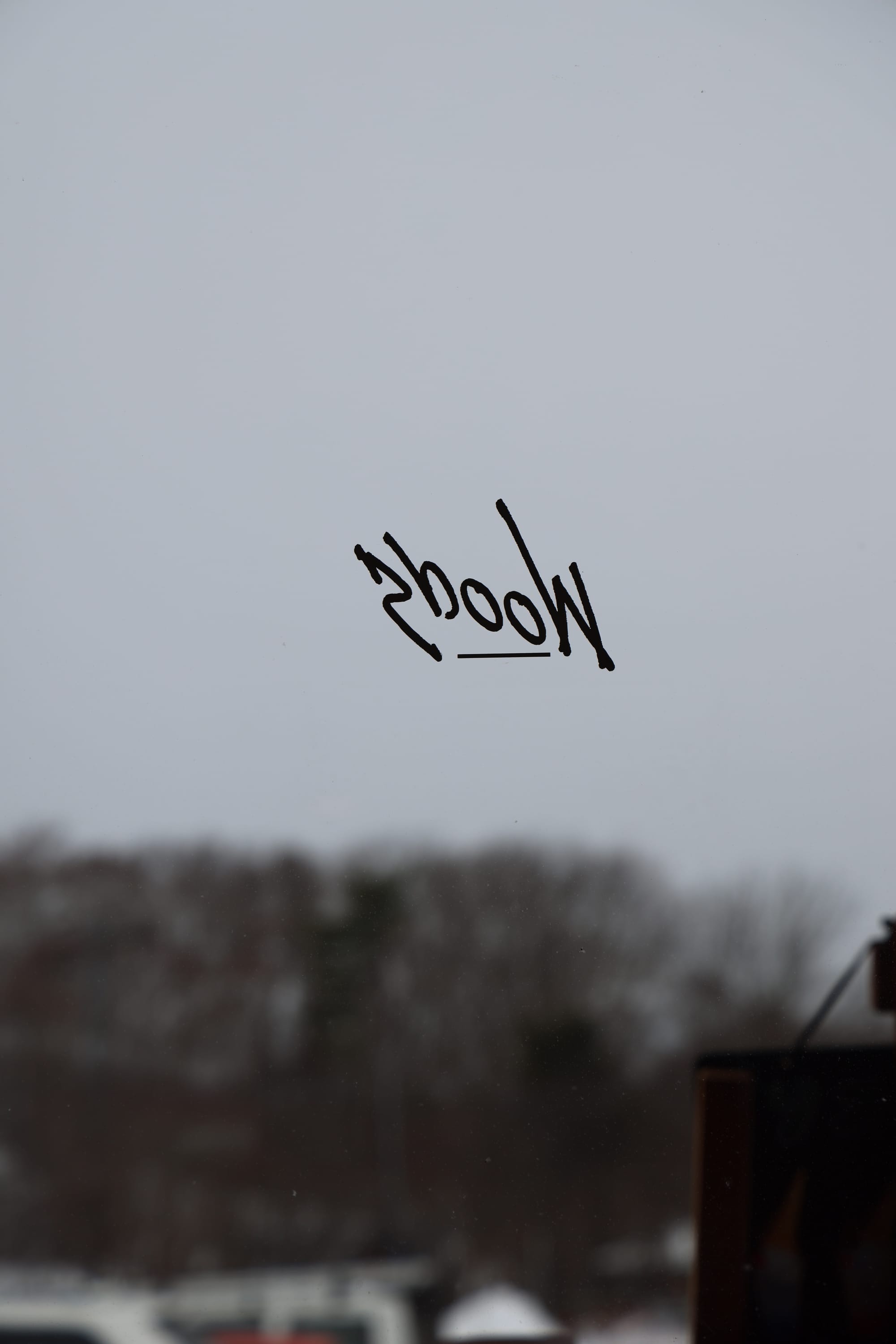 圣诞季的北海道之旅