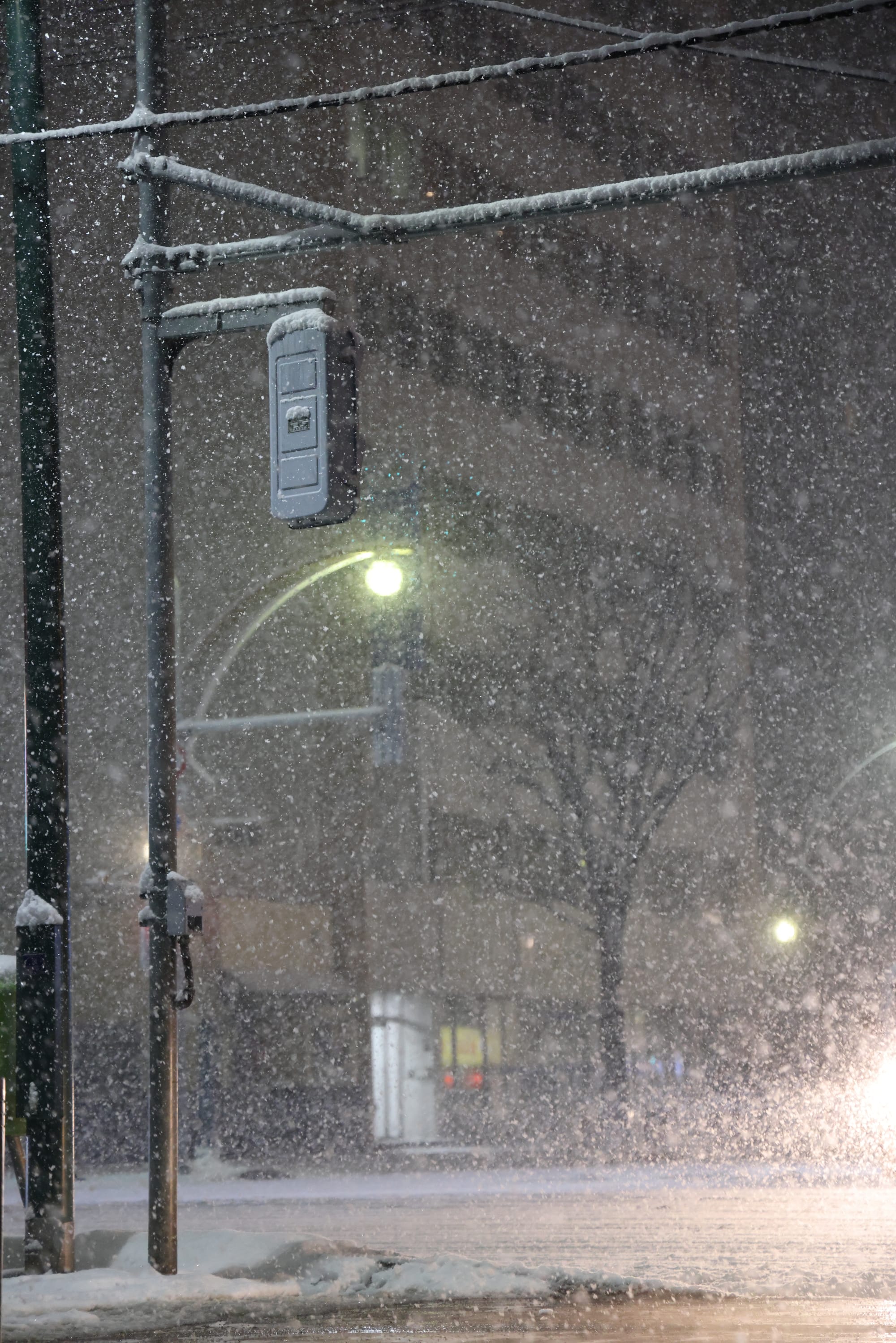圣诞季的北海道之旅